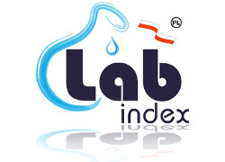 Logo Labindex